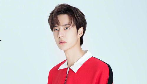 娱乐大爆料之王,娱乐大爆料之王独家揭秘幕后真相